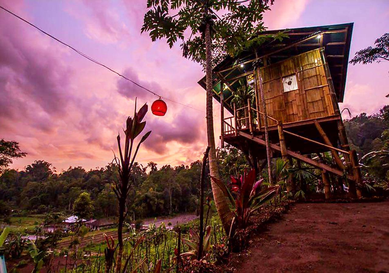 Апартаменты Bali Tree House Pelangi Бедугул Экстерьер фото