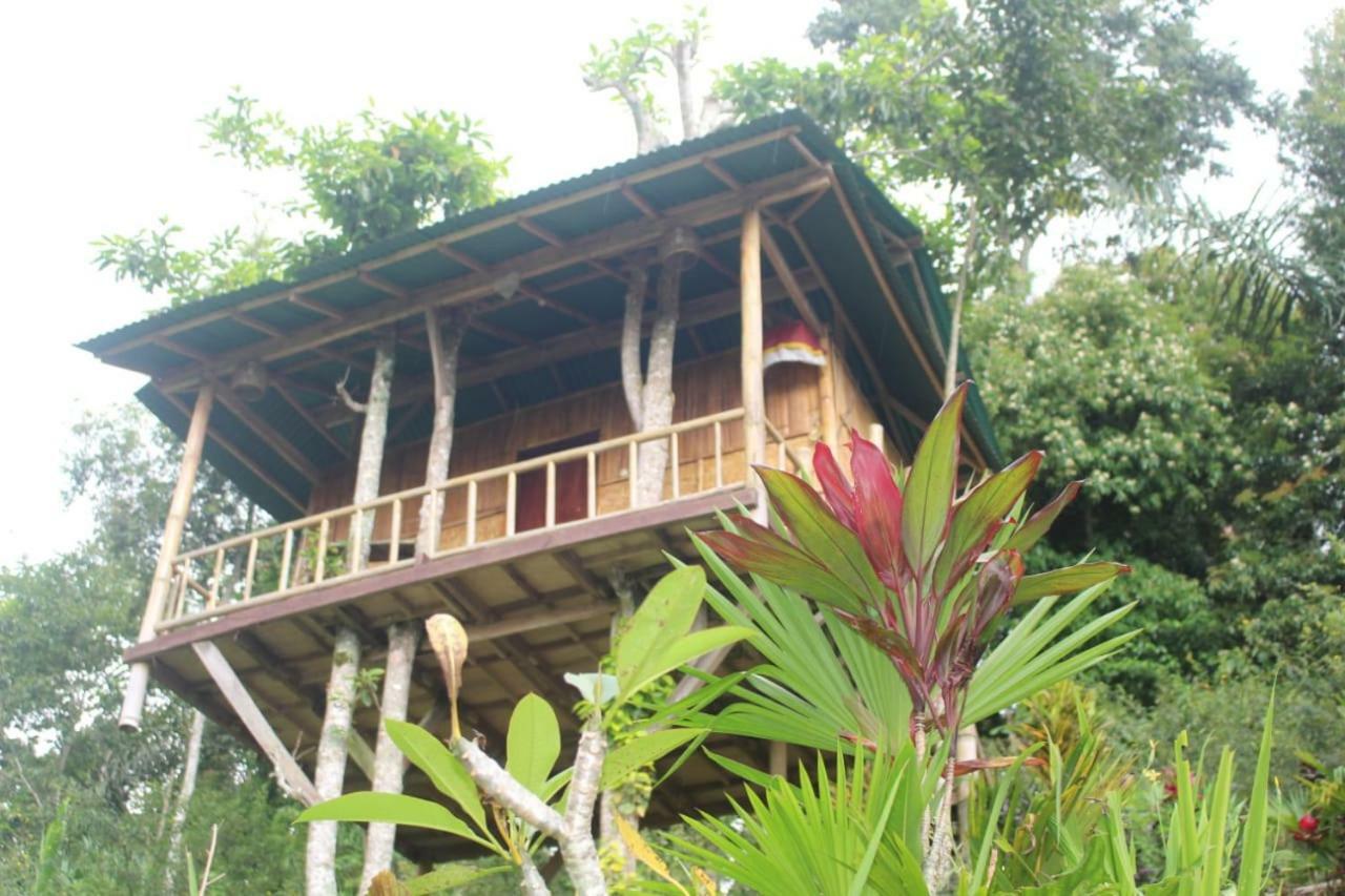 Апартаменты Bali Tree House Pelangi Бедугул Экстерьер фото