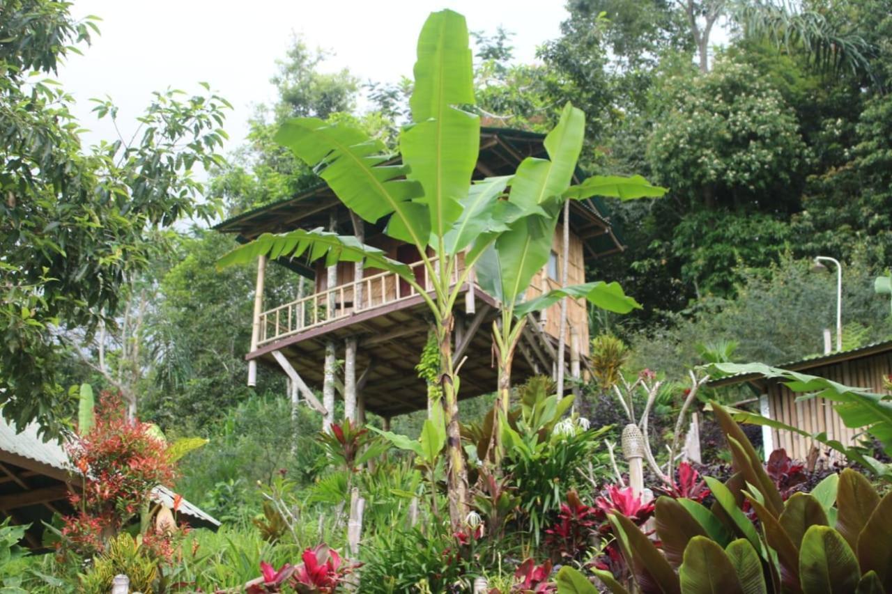 Апартаменты Bali Tree House Pelangi Бедугул Экстерьер фото