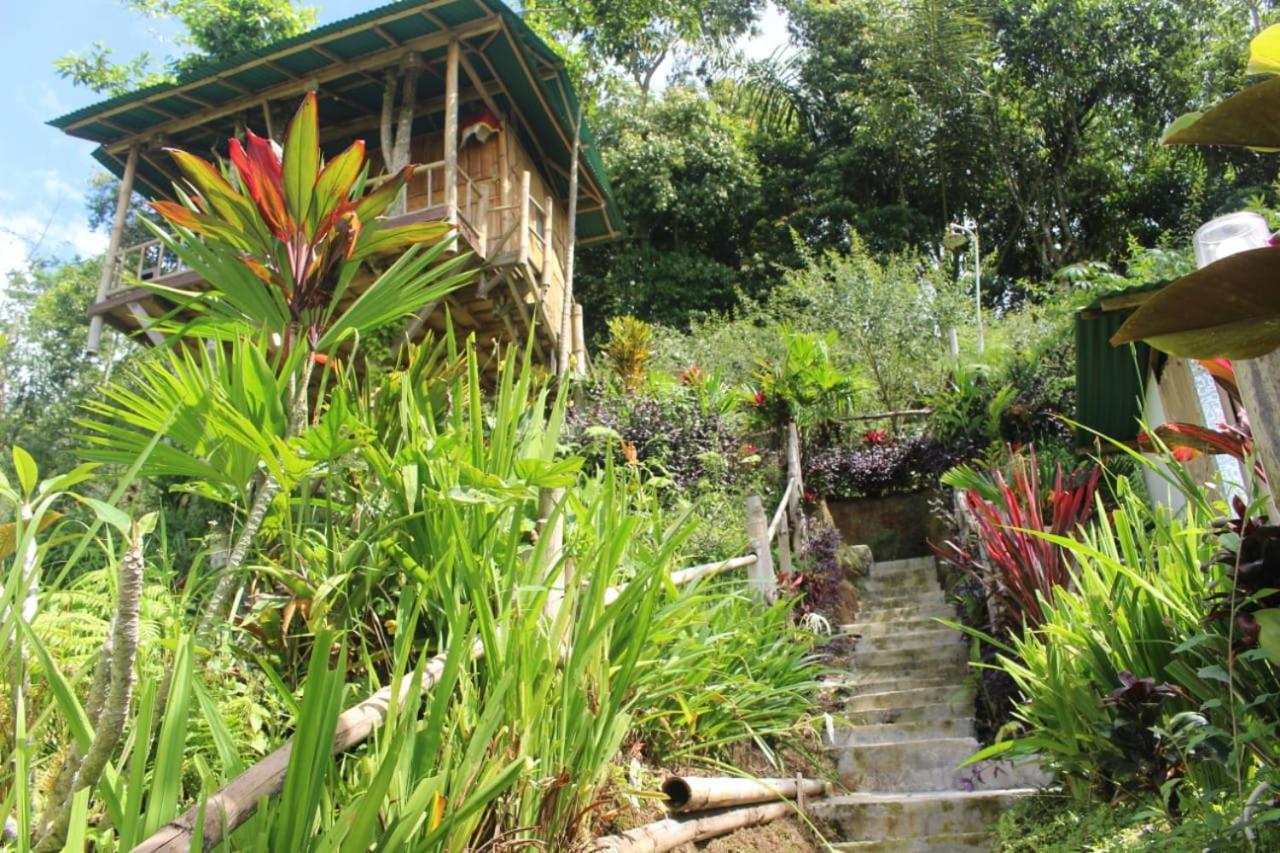 Апартаменты Bali Tree House Pelangi Бедугул Экстерьер фото
