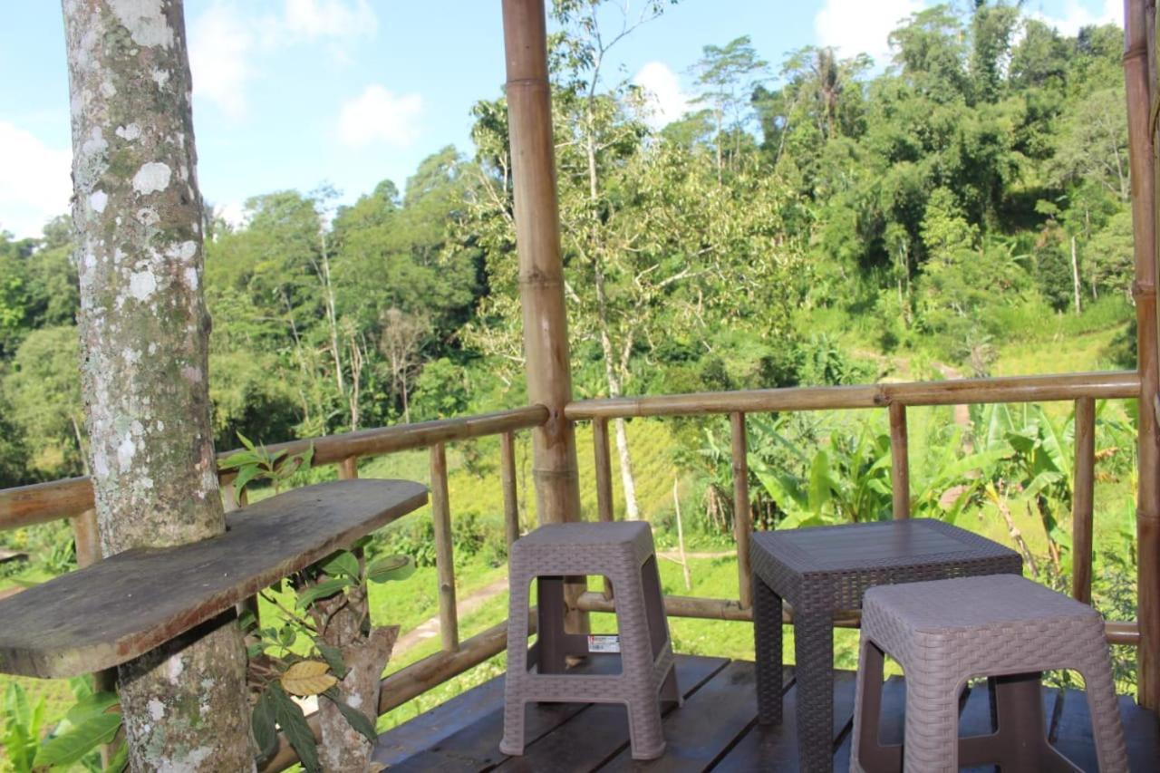 Апартаменты Bali Tree House Pelangi Бедугул Экстерьер фото