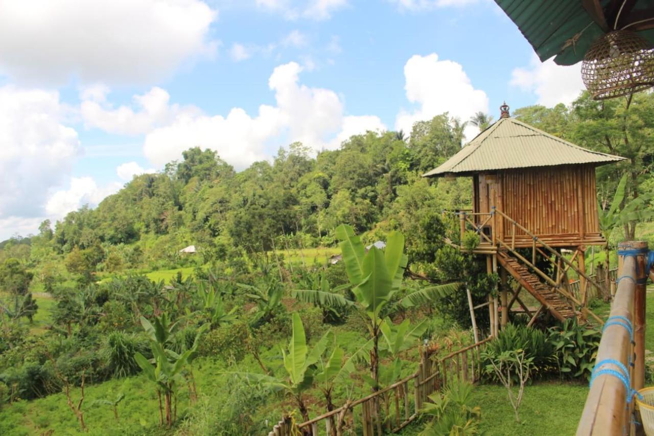 Апартаменты Bali Tree House Pelangi Бедугул Экстерьер фото